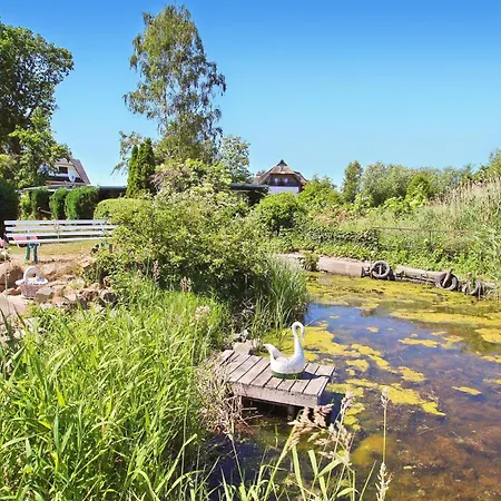 Ferienhaus Bellin Ueckermünde